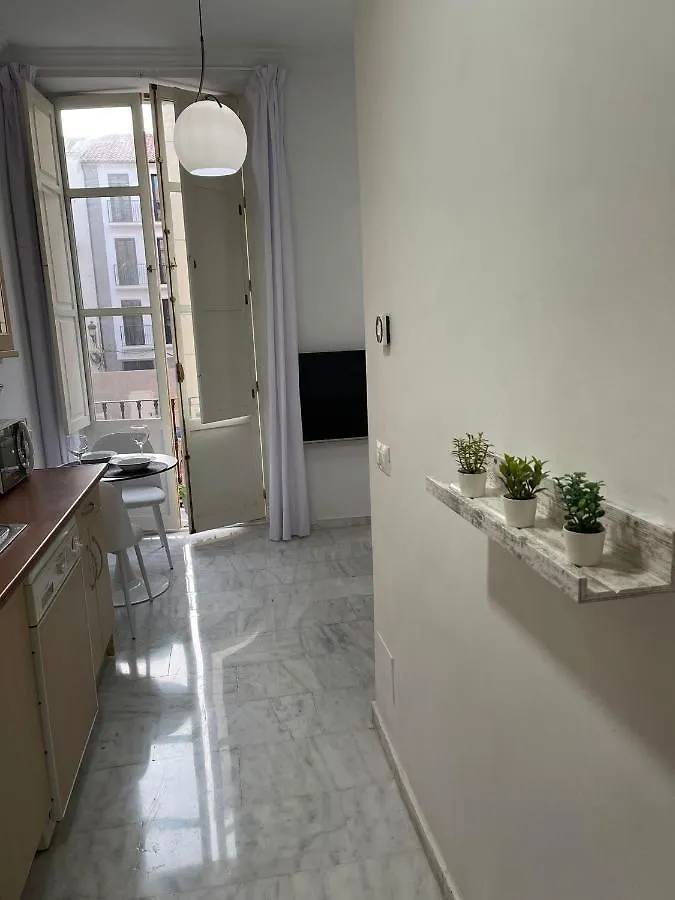 Apartamento Ancha Del Carmen Malaga